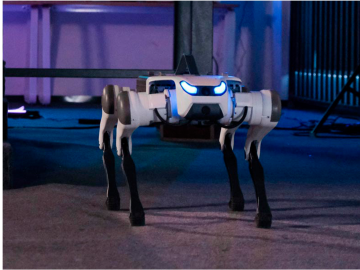 Buddy Bot para inspeção e segurança patrimonial
