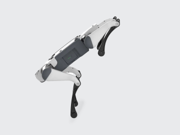 Inspeção - Buddy Bot