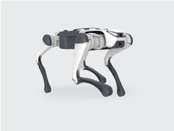 Segurança patrimonial - Buddy Bot